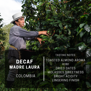 Colombia Decaf Madre Laura