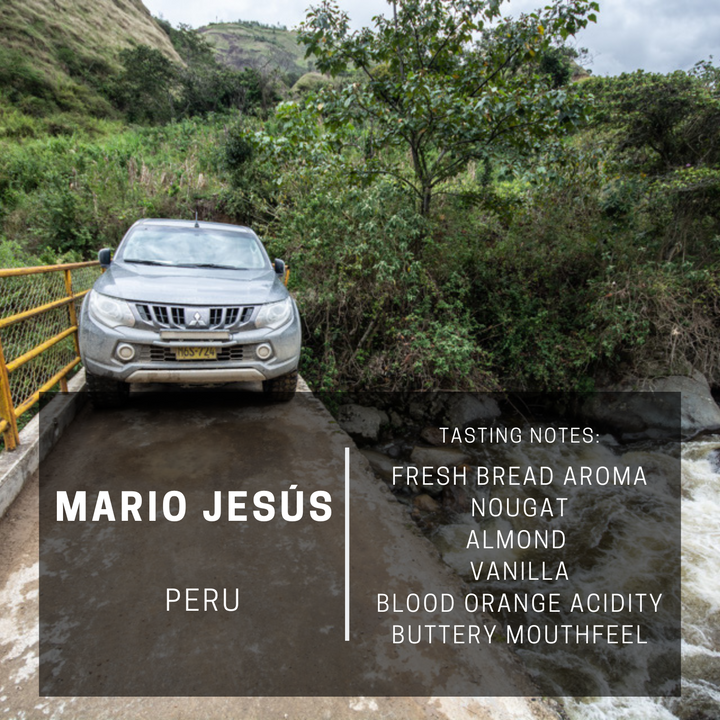 Peru Mario Jesús