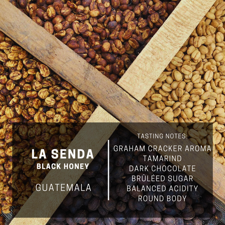 Guatemala La Senda Black Honey