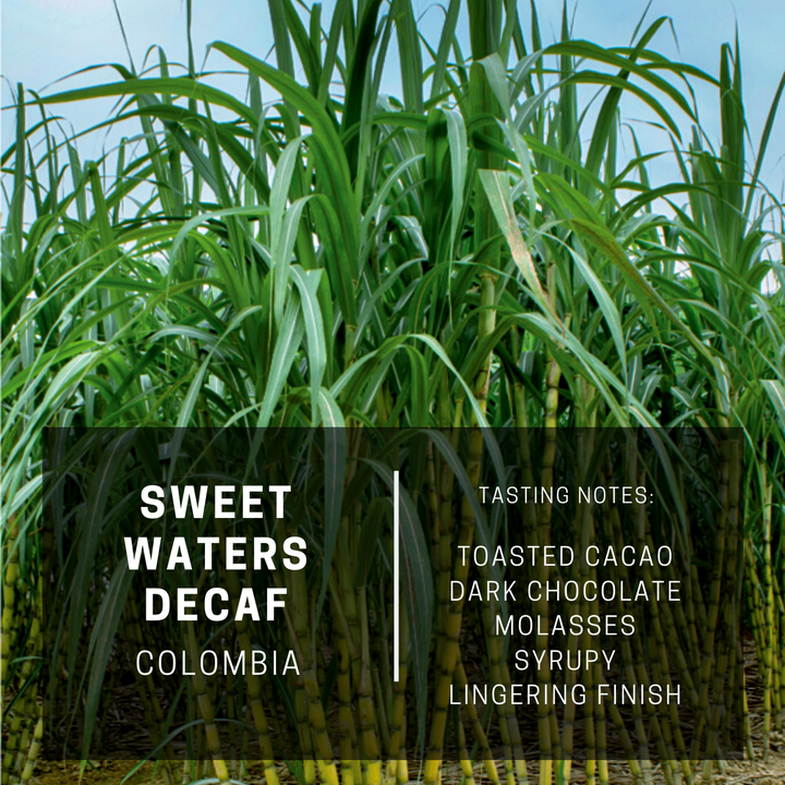 Colombia Sweet Waters Decaf