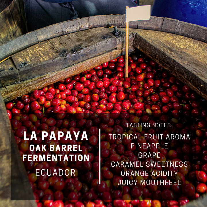 Ecuador La Papaya Oak Barrel Fermentation
