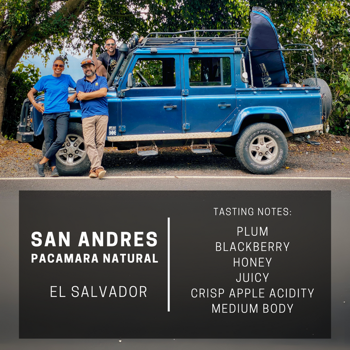 El Salvador San Andres Pacamara Natural