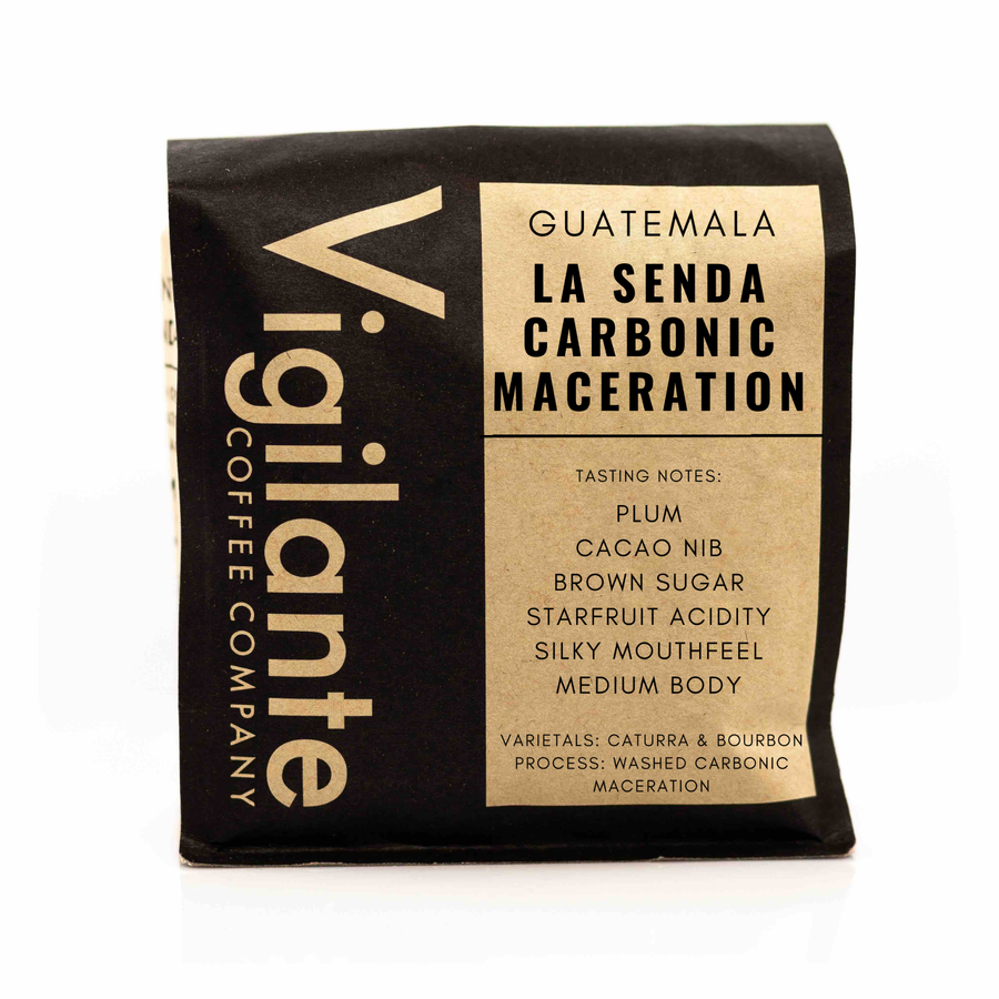 標本 Guatemala Pantodinus klugi 42mm Guatemala La Senda Carbonic Maceration – Vigilante Coffee Company