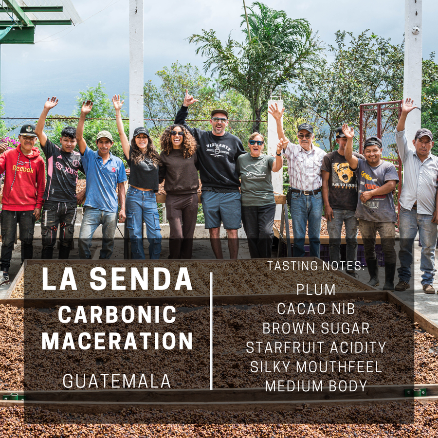 Guatemala La Senda Carbonic Maceration – Vigilante Coffee Company