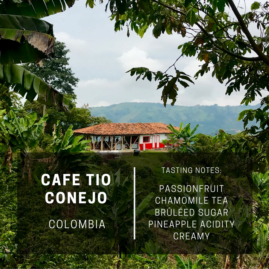 Colombia Cafe Tio Conejo Anaerobic Washed