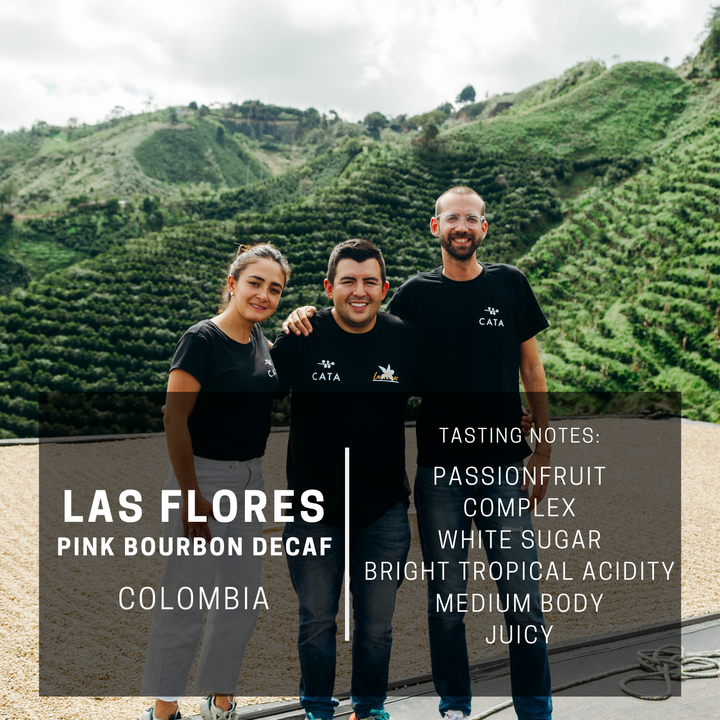 Light Roast – Vigilante Coffee Company