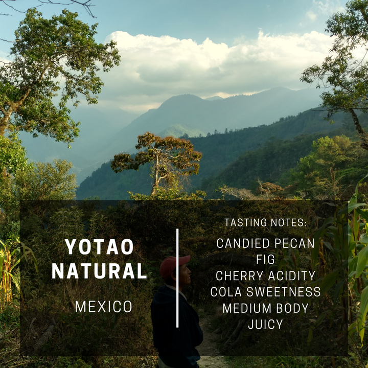 Vigilante Coffee gallery