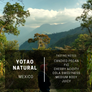 Mexico Yotao Natural
