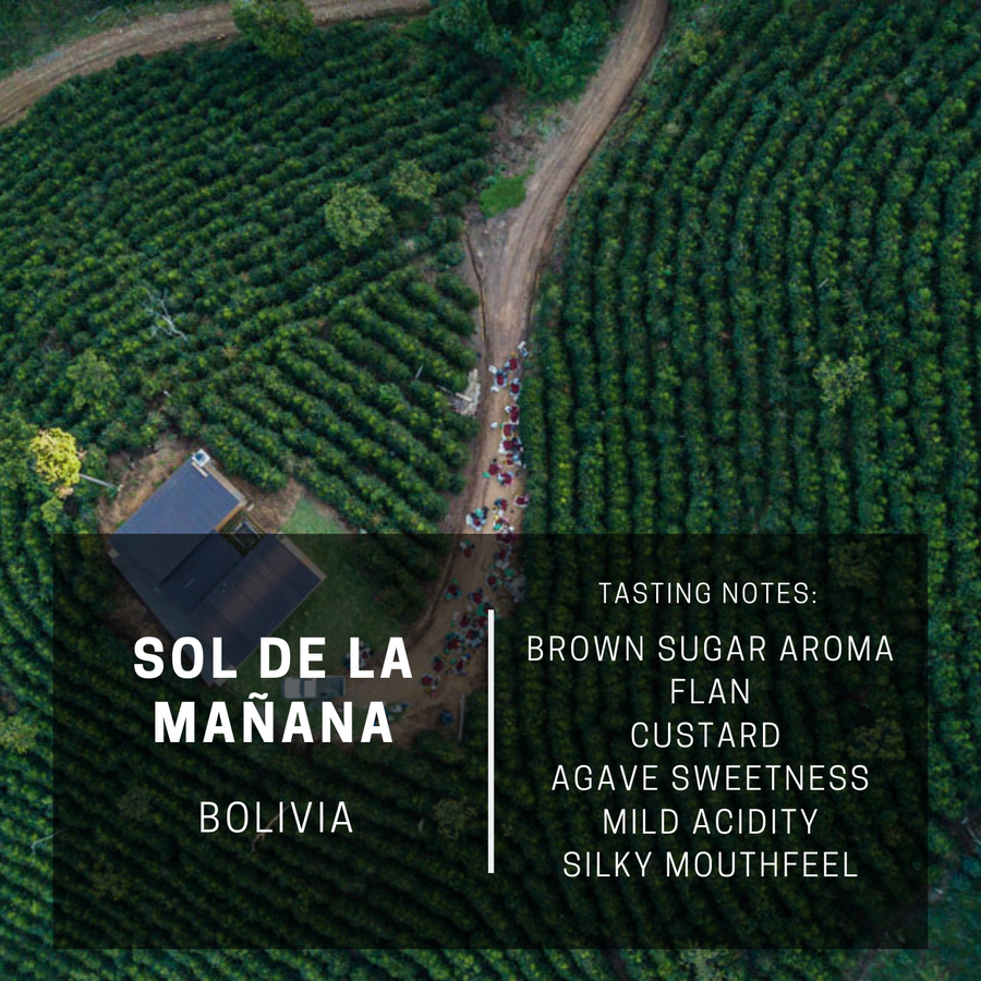 Bolivia Sol De La Mañana