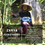 Vietnam Zanya Double Washed