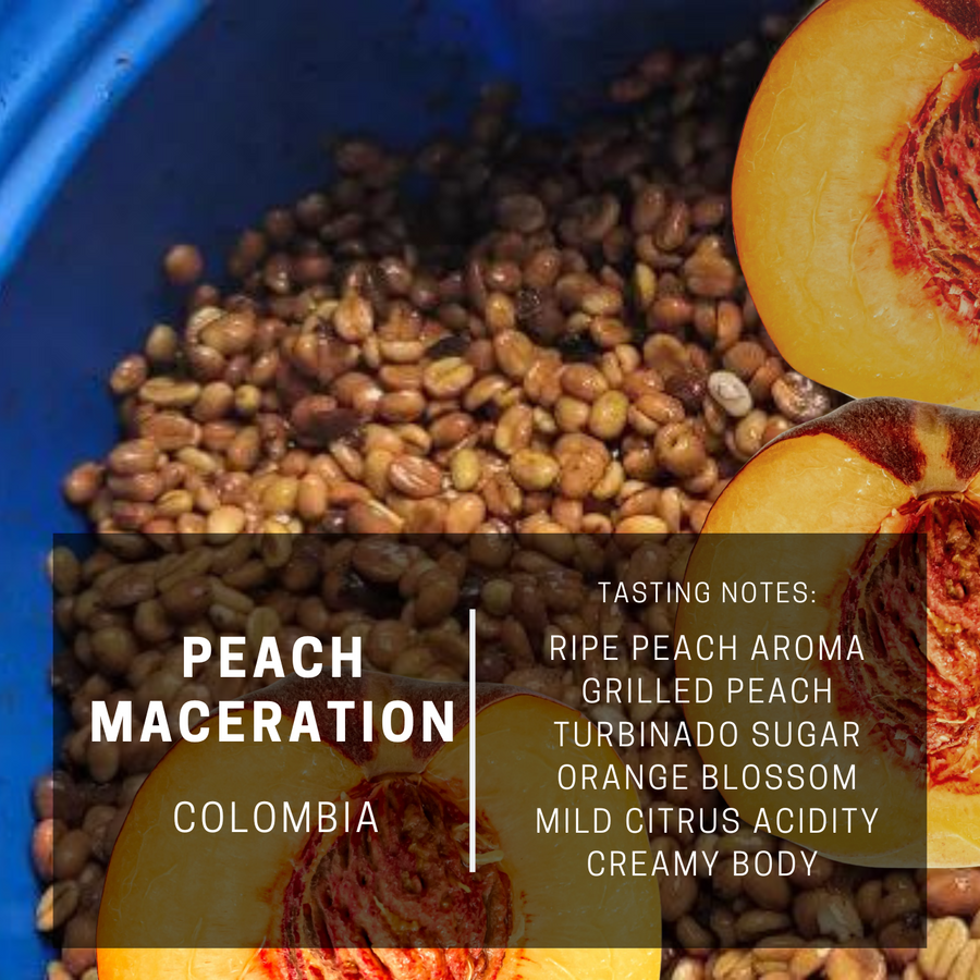 Colombia Peach Maceration