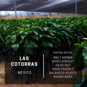 Mexico Las Cotorras (subscription)