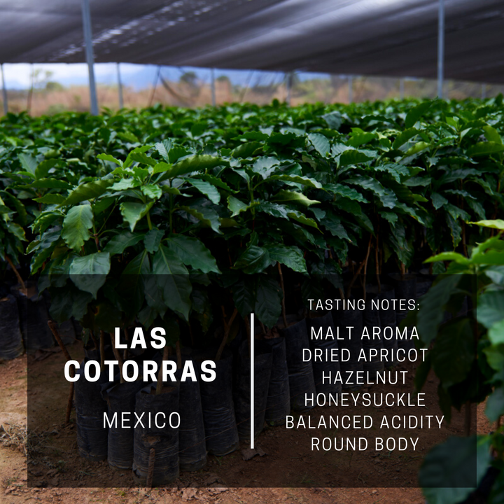 Mexico Las Cotorras (subscription)