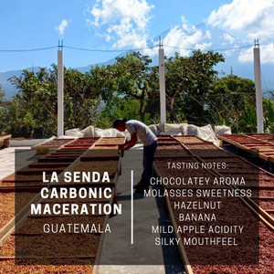 Guatemala La Senda Carbonic Maceration