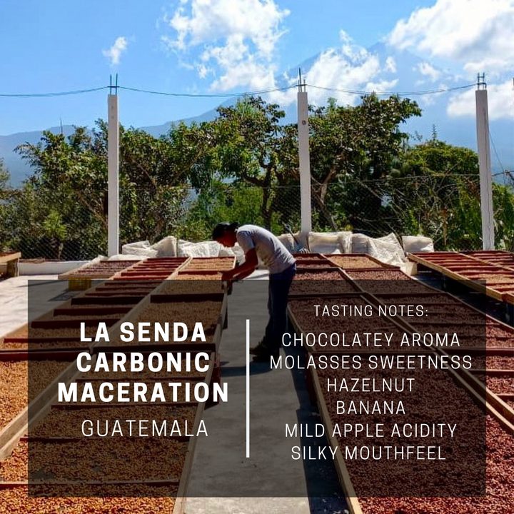Guatemala La Senda Carbonic Maceration