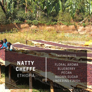 Ethiopia Natty Cheffe