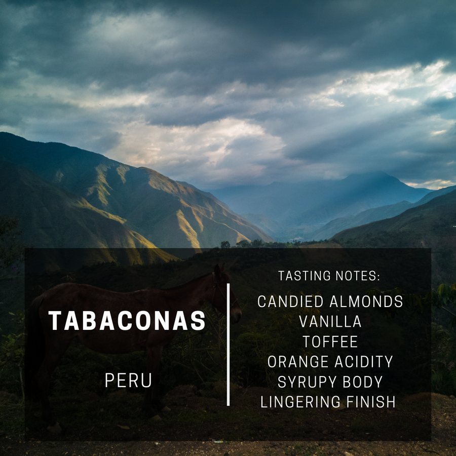 Peru Tabaconas